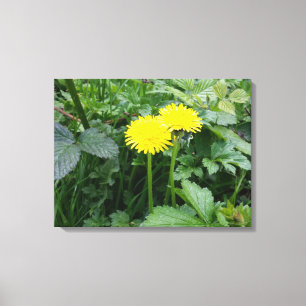 Stretched Canvas Print
