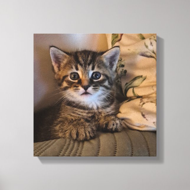 Stretched Canvas Print (Front)