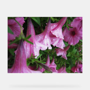 Stretched Canvas Print Acrylic Sign