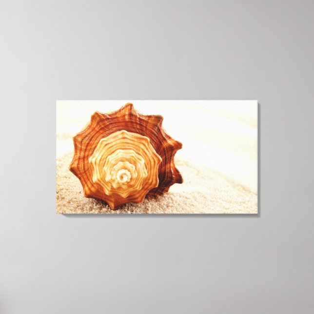 Stretched Canvas Print - Beach Cove Shells (Front)