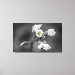Stretched Canvas Print - Frozen Beauty