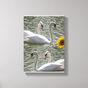 Stretched Canvas Print Mother's Day Swan Sunflower