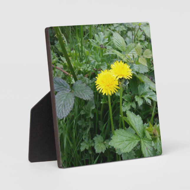 Stretched Canvas Print Plaque (Front)