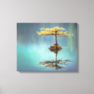 STRETCHED CANVAS PRINT : TREE ON AN ISLAND