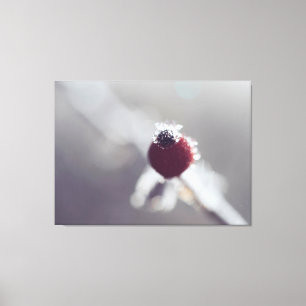 Stretched Canvas Print - Winter Berry
