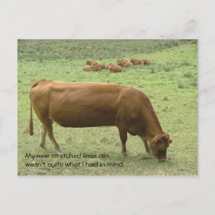 Stretched limo postcard