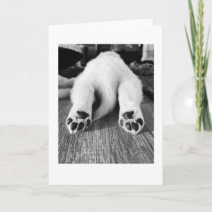 Stretched Out Blank Card