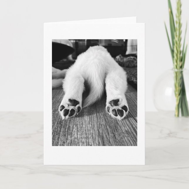 Stretched Out | Blank Card (Front)