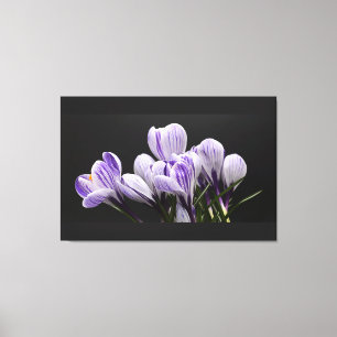 Stretched Wall Canvas Print