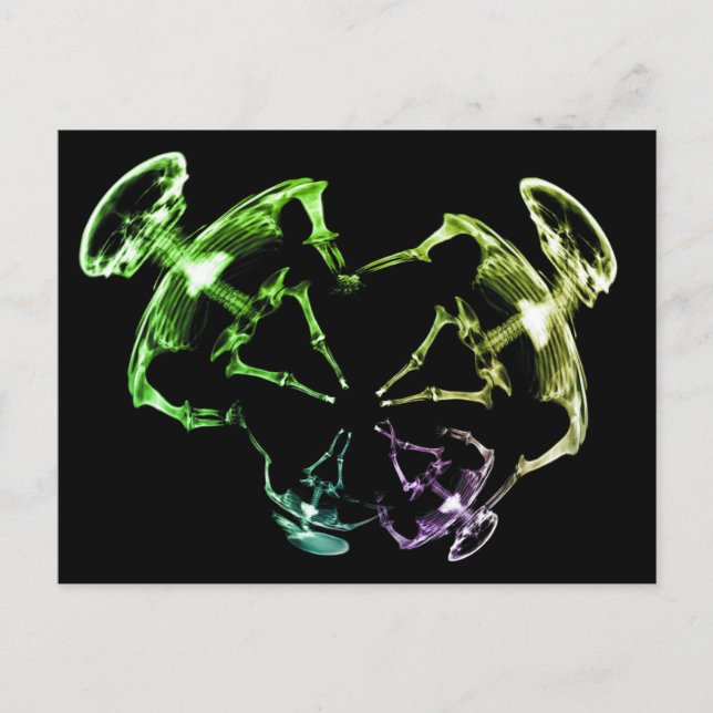 Stretched X-Ray Skeleton Family 4 Postcard (Front)