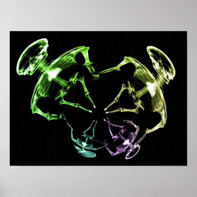 Stretched X-Ray Skeleton Family 4 Poster (Front)