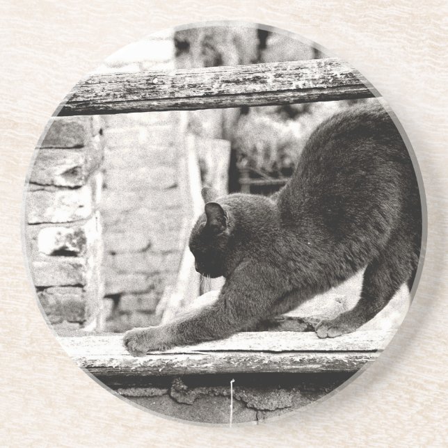 stretching cat coaster (Front)
