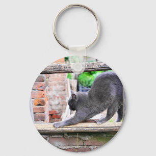 Stretching cat key ring