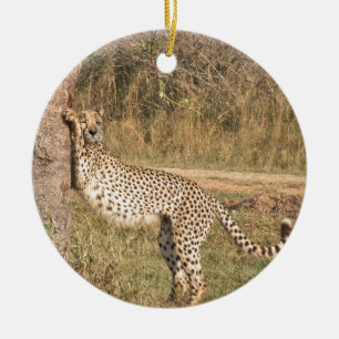 Stretching Cheetah Ceramic Tree Decoration