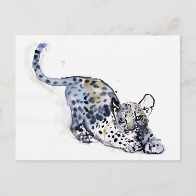 Stretching Cub Postcard (Front)