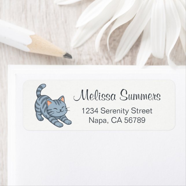 Stretching Grey Tabby Cat (Insitu)