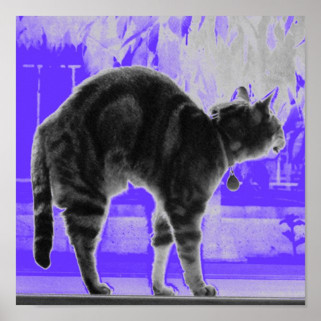 Stretching Indigo B+W Poster (Front)