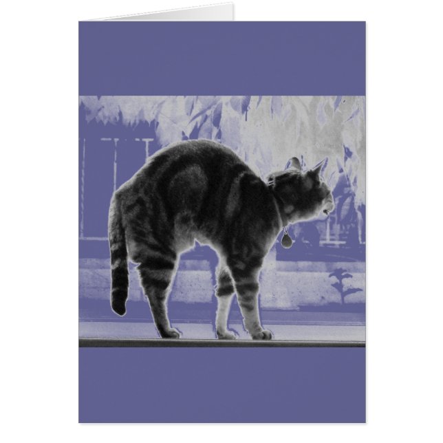 Stretching Indigo Pencil (Front)