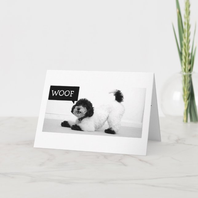 STRETCHING PUP WANTS TO JUMP FOR JOY BIRTHDAY CARD (Front)