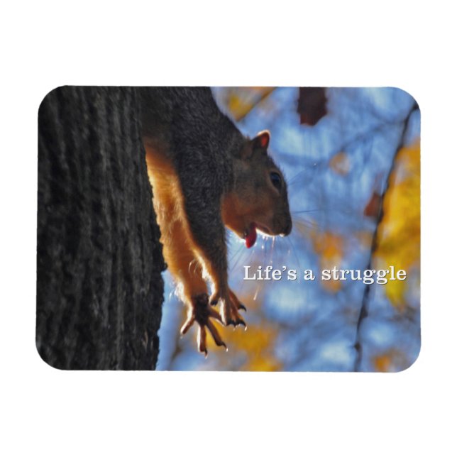 Stretching Squirrel 2 Magnet (Horizontal)