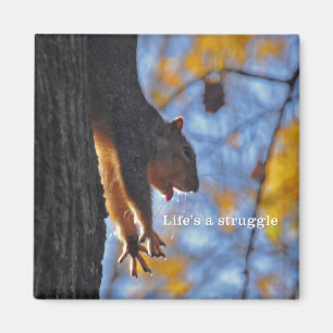 Stretching Squirrel 2 Magnet