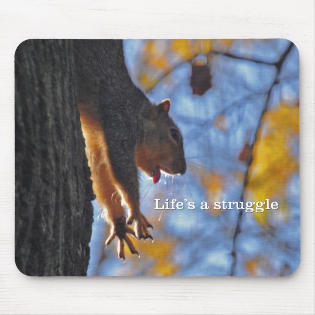 Stretching Squirrel 2 Mouse Mat (Front)