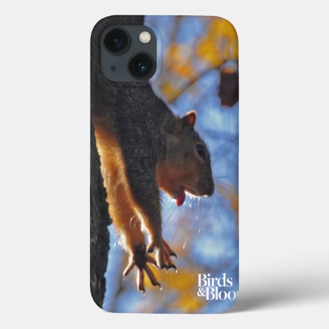 Stretching Squirrel Case-Mate iPhone Case (Back)