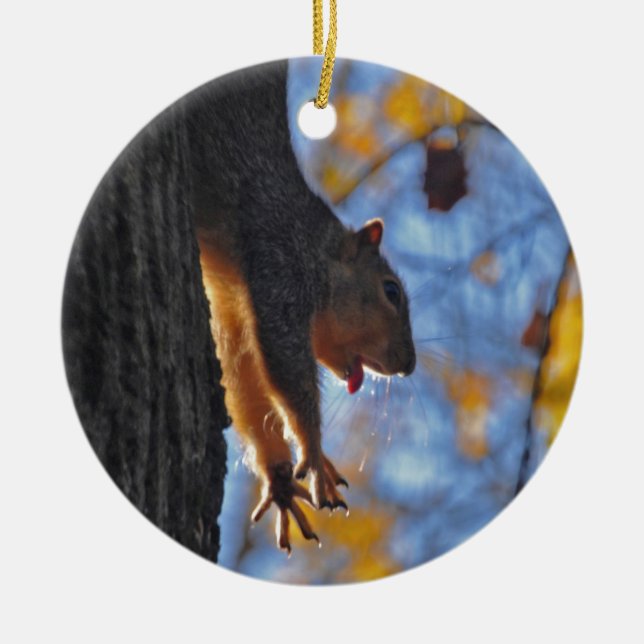 Stretching Squirrel Ceramic Tree Decoration (Front)