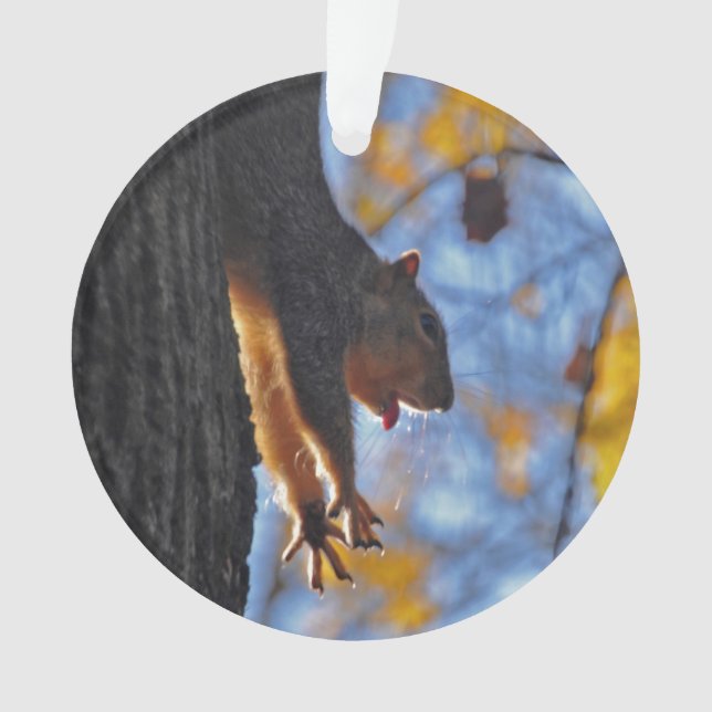 Stretching Squirrel Ornament (Front)
