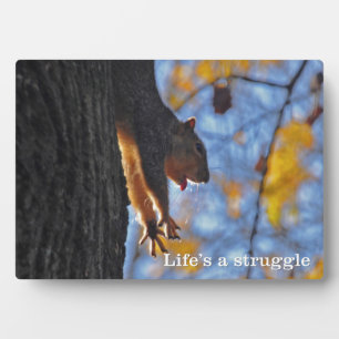 Stretching Squirrel Plaque