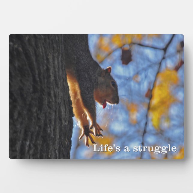Stretching Squirrel Plaque (Front)