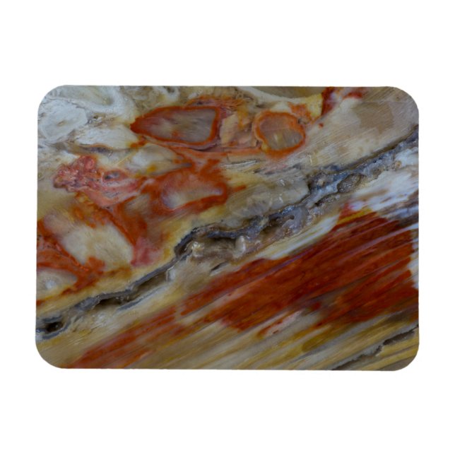 Striated Petrified Wood Magnet (Horizontal)