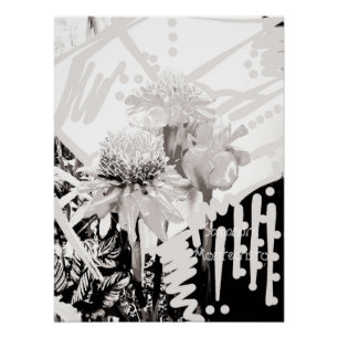 Strictly Black & White Wonder TRIO Glossy Poster