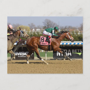 Stride for Stride Postcard