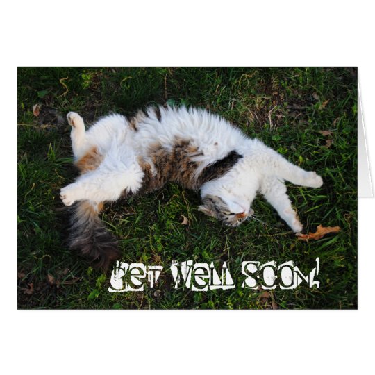 Strike A Pose! Cat Get Well Soon Card