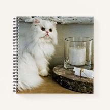 Strike A Pose Notebook