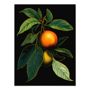 Striking Oranges on a Black Background Photo Print
