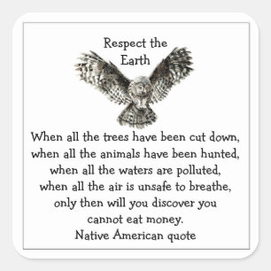 Striking Owl Respect the Earth Native American Square Sticker