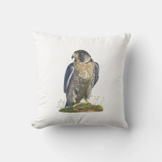 Striking Peregrine Falcon cushion