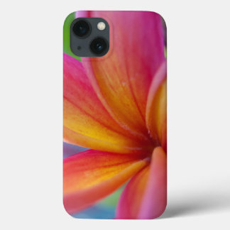 Striking Pink Tropical Plumeria Flower iPhone 13 Case