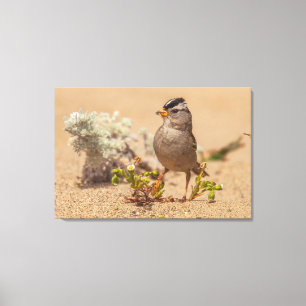 Striking Pose Canvas Print