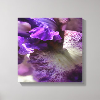 Striking Purple, Violet and Mauve Iris Abstract Canvas Print