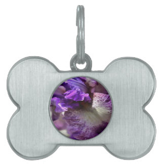 Striking Purple, Violet and Mauve Iris Abstract Pet Name Tag