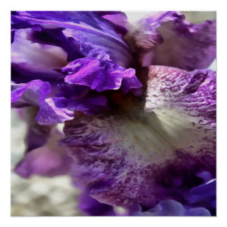 Striking Purple, Violet and Mauve Iris Abstract Poster