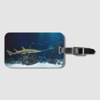 Striking Sawfish