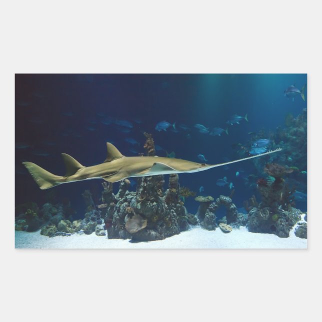 Striking Sawfish Rectangular Sticker (Front)