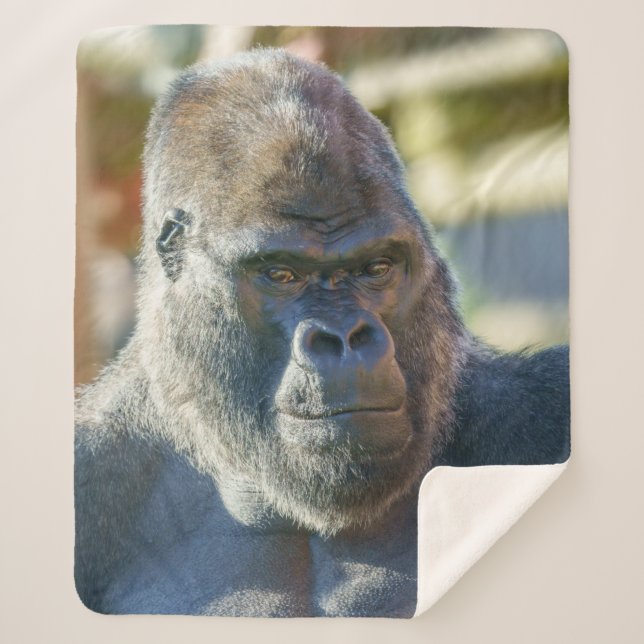 Striking Silverback Fleece Blanket (Front)