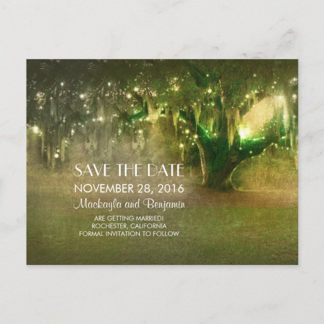 string lights oak tree rustic save the date announcement postcard (Front)