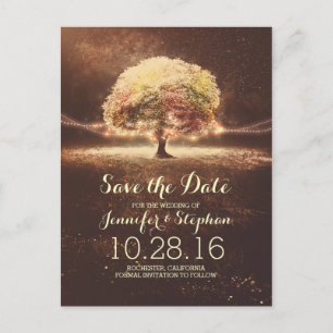 String lights tree romantic save the date postcard