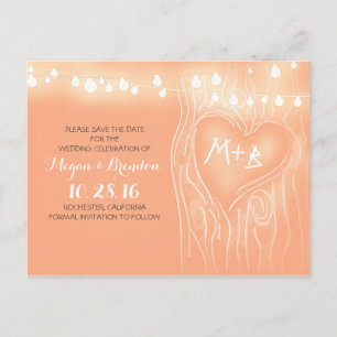 String of lights tree save the date postcards